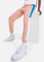 Load image into Gallery viewer, Etesiai Jog Pant - Pink